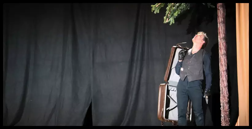 Aiguilles et Macadam - arbre