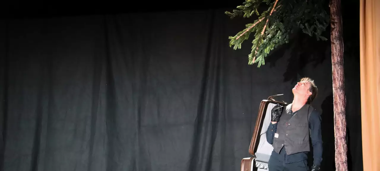 En haut de l'arbre - Spectacle Aiguilles et macadam - Jeune public